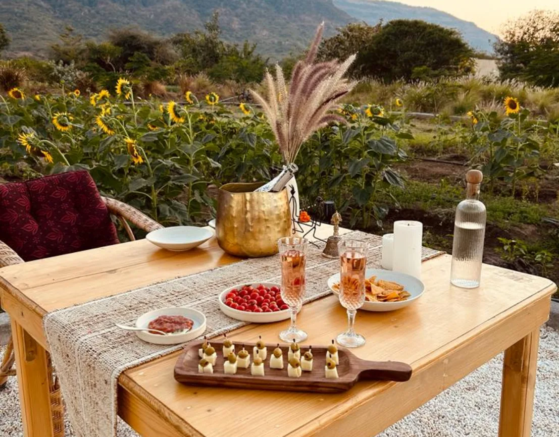 Outdoor dining setup with appetizers, drinks, and a sunflower field backdrop at sunset. Bespoke Dining at Dhyaana Farms