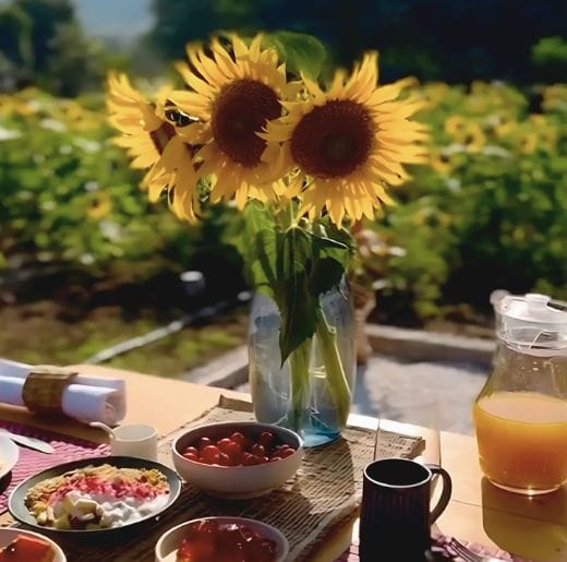 Experiences 1 breakfast dishes and sunflower