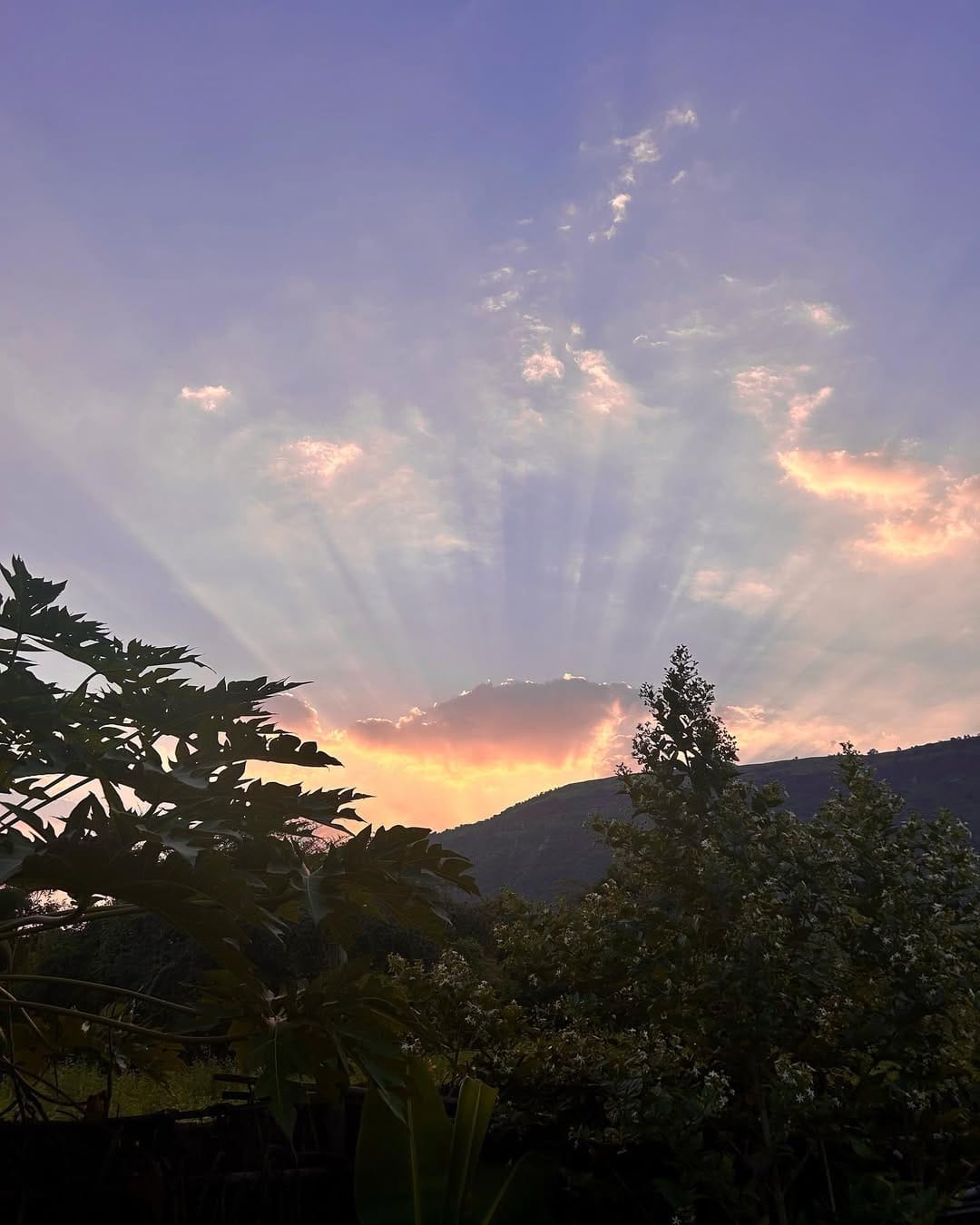 Sunset over Dhyaana Farms, with golden rays shining through clouds above lush green trees and hills.
