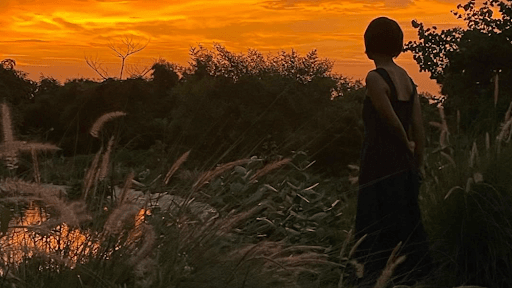 Silhouetted woman in a black dress gazing at a golden sunset over a serene pond, surrounded by tall grass and lush greenery in Dhyaana Farms